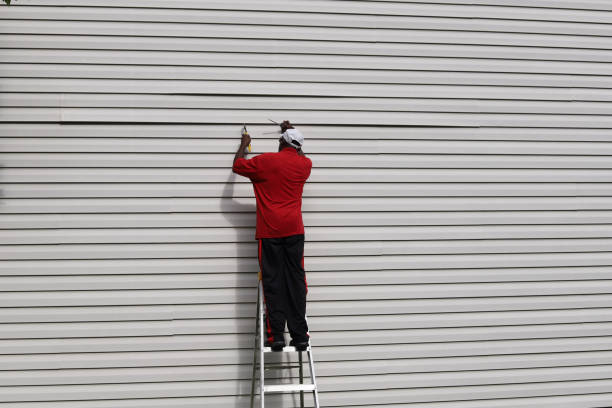 Best Fiber Cement Siding Installation  in Lisbon, ND