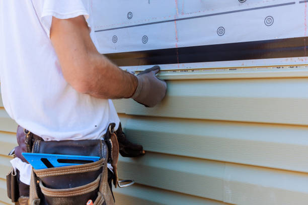 Best Insulated Siding Installation  in Lisbon, ND